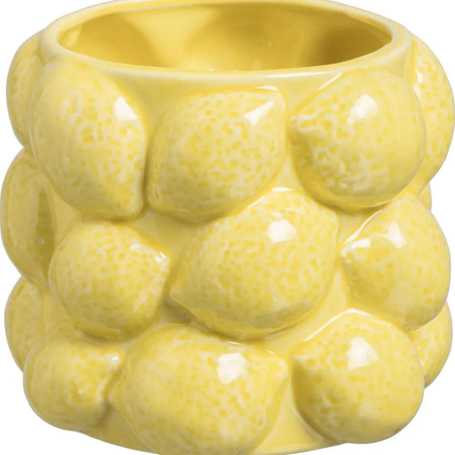 Bloempot Citroen^ Discount