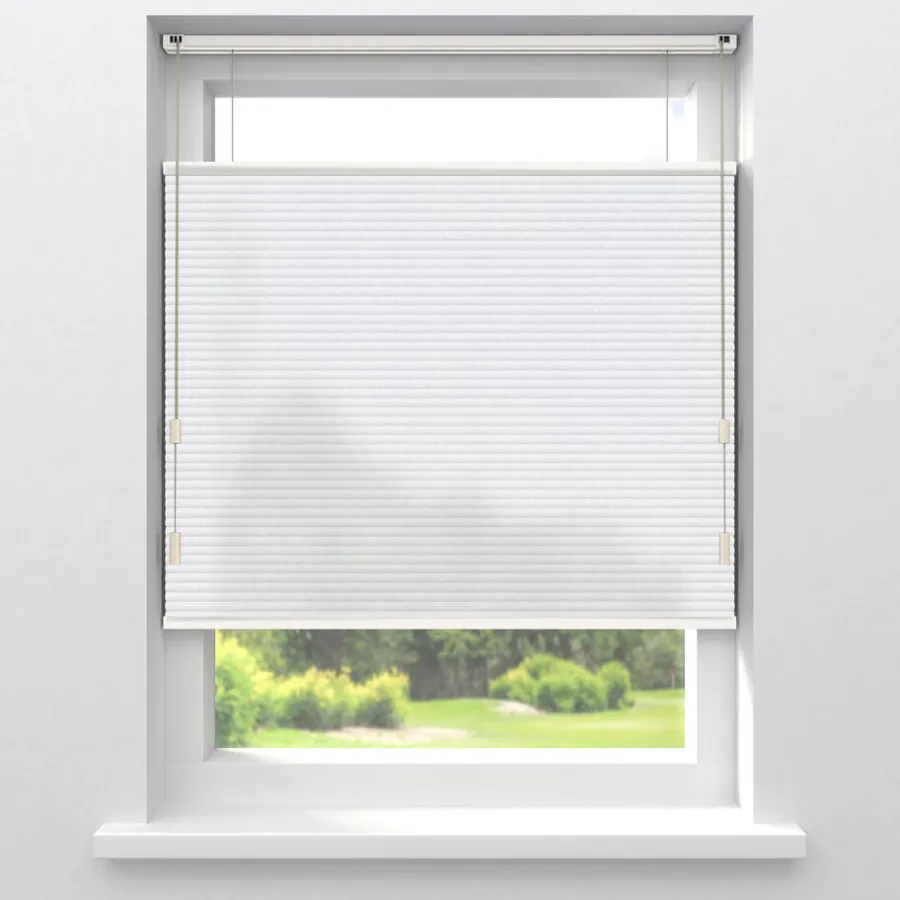 Dubbel Plisségordijn Vera Lichtdoorlatend^ Online