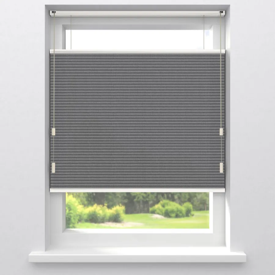 Fenstr Dubbel Plisségordijn Elin Verduisterend^ New