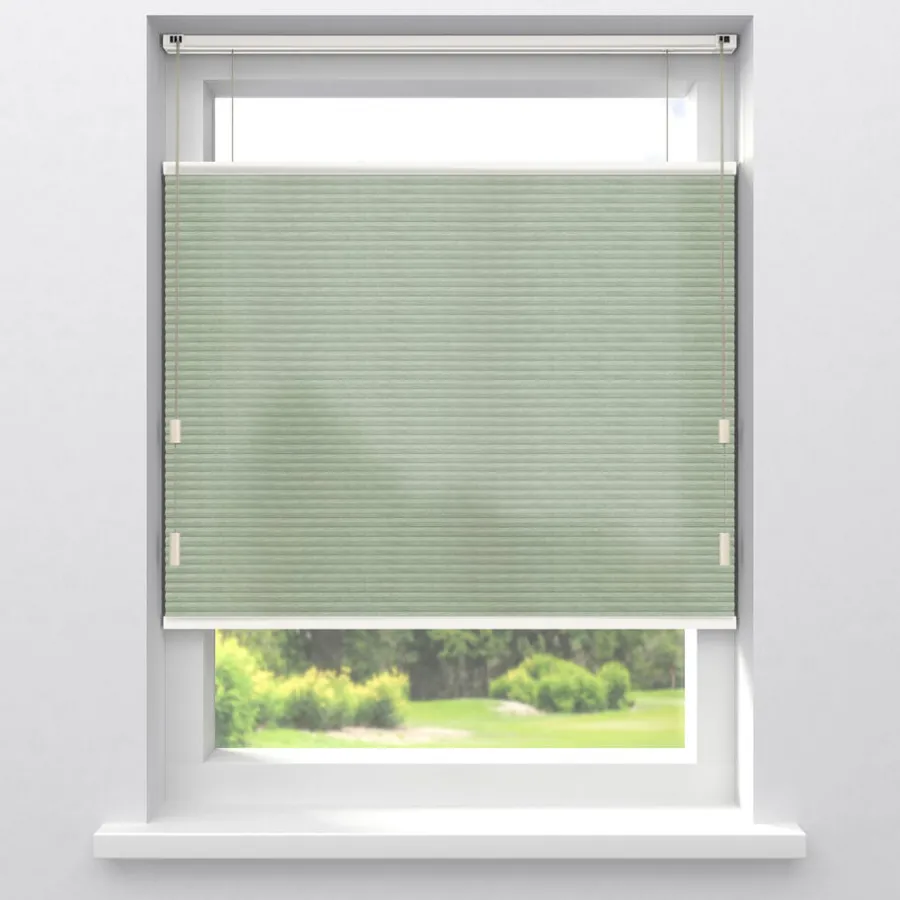 Fenstr Dubbel Plisségordijn Dana Lichtdoorlatend^ Fashion