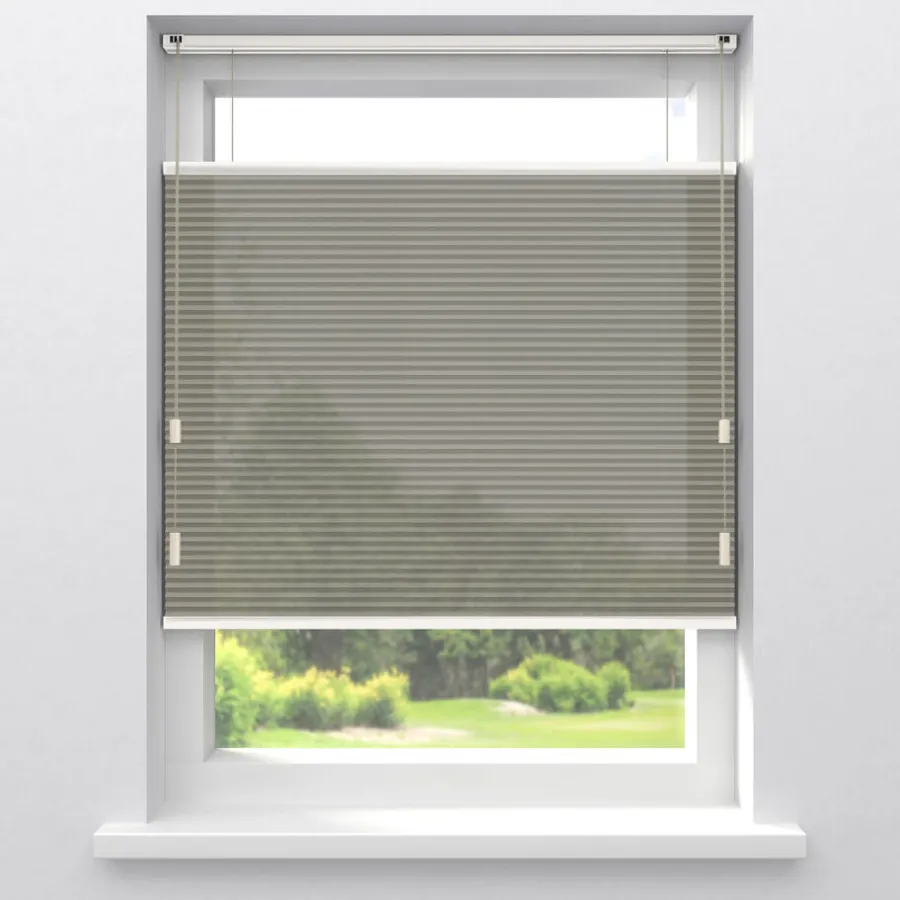 Fenstr Dubbel Plisségordijn Dewi Lichtdoorlatend^ Fashion