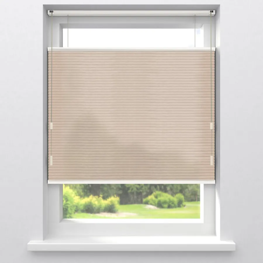 Fenstr Dubbel Plisségordijn Lizzy Lichtdoorlatend^ Outlet