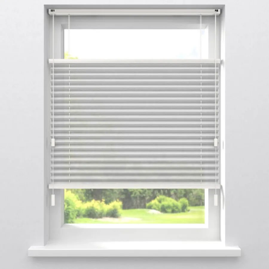 Fenstr Plissé Lina Transparant^ Hot