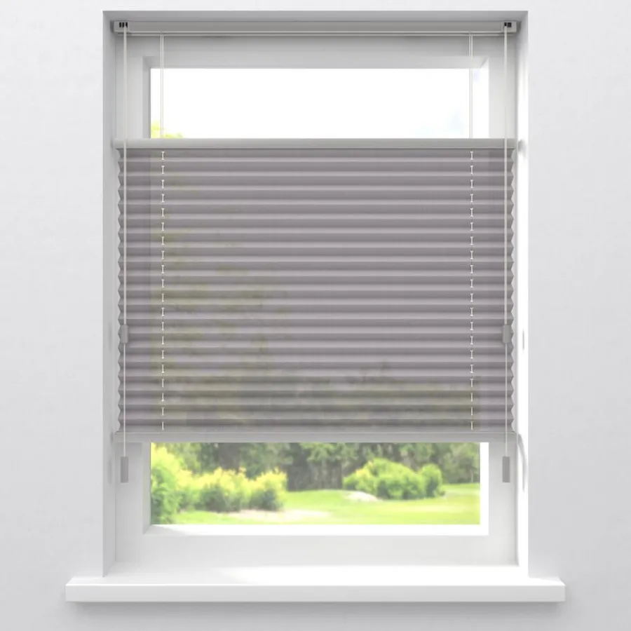 Fenstr Plissé Lise Lichtdoorlatend^ Sale