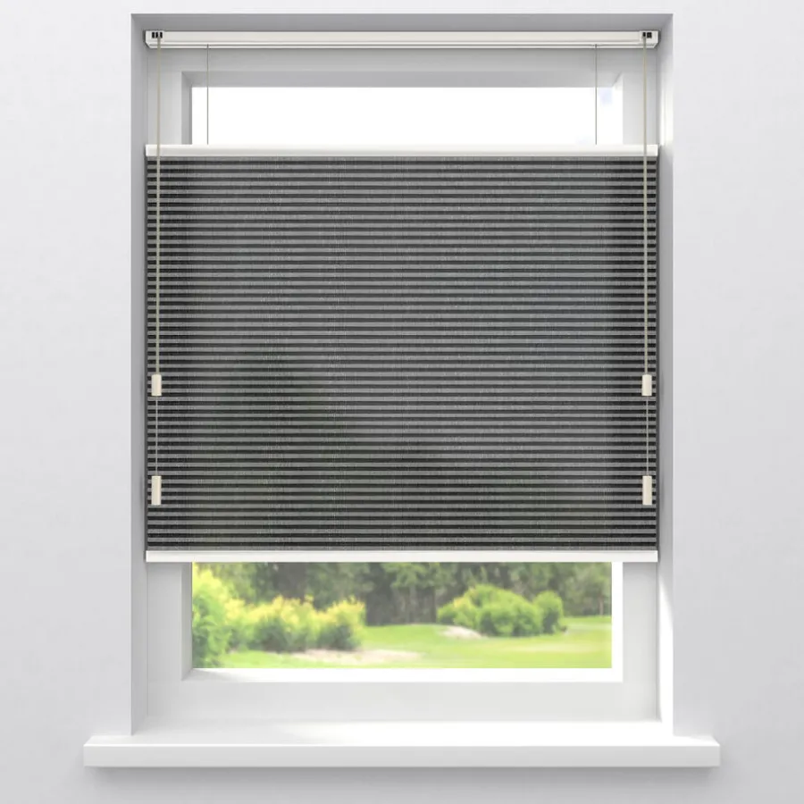 Fenstr Plisségordijn Raya Antraciet Lichtdoorlatend^ Hot