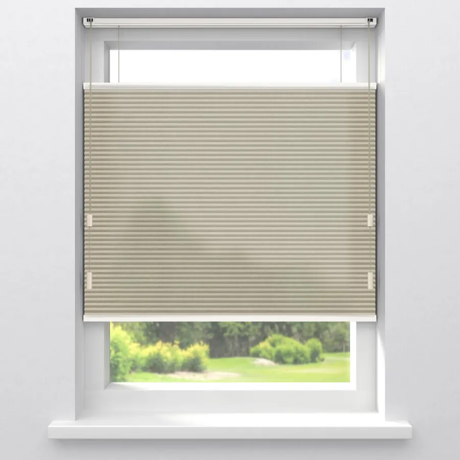 Fenstr Plisségordijn Raya Lichtdoorlatend^ New