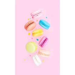 Fotobehang Palm^ Outlet