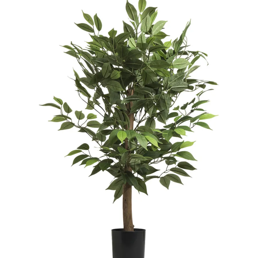 Kunstplant Ficus^ Sale