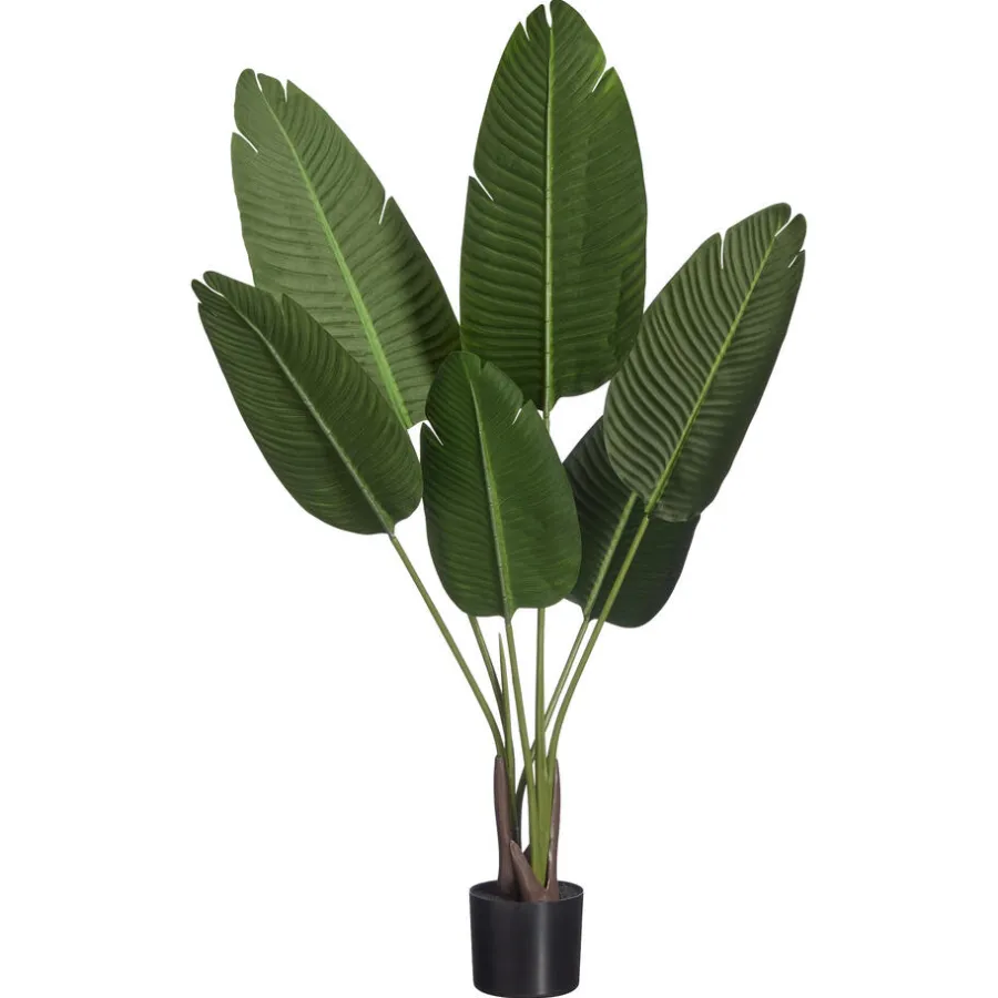 Kunstplant Strelitzia^ Sale