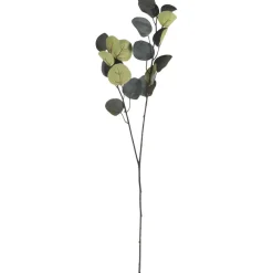 Kunsttak Eucalyptus^ Online