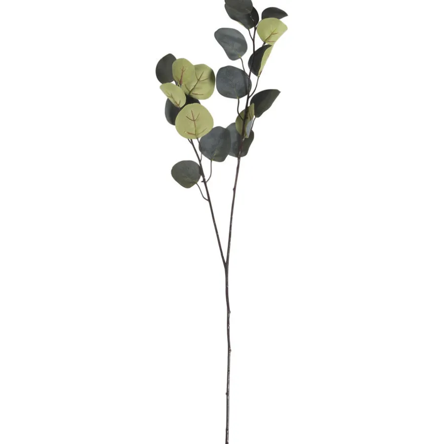 Kunsttak Eucalyptus^ Online