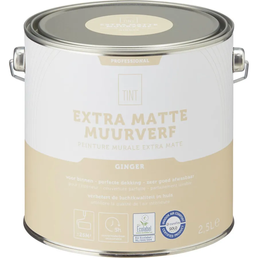 Muurverf Professional Ginger 2.5 l^ Clearance