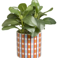 Plant In Pot Carreaux^ Discount