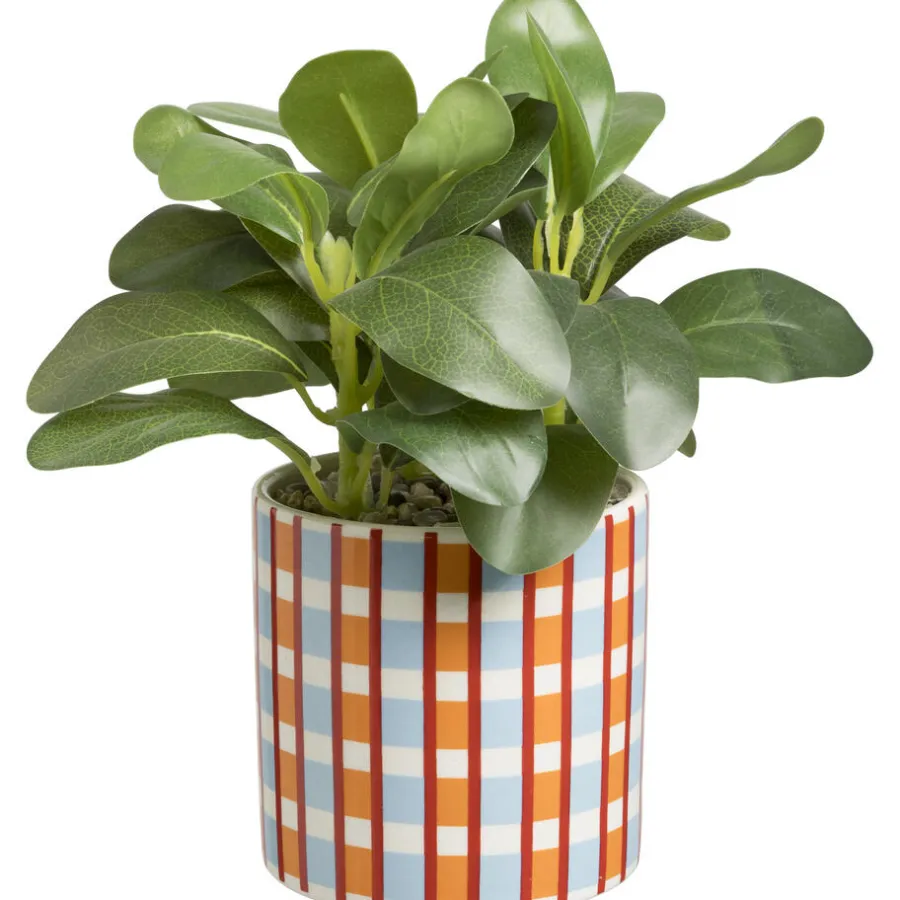 Plant In Pot Carreaux^ Discount