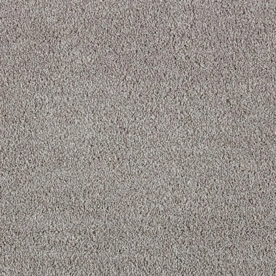 Staal Tapijt Alamance^ Outlet