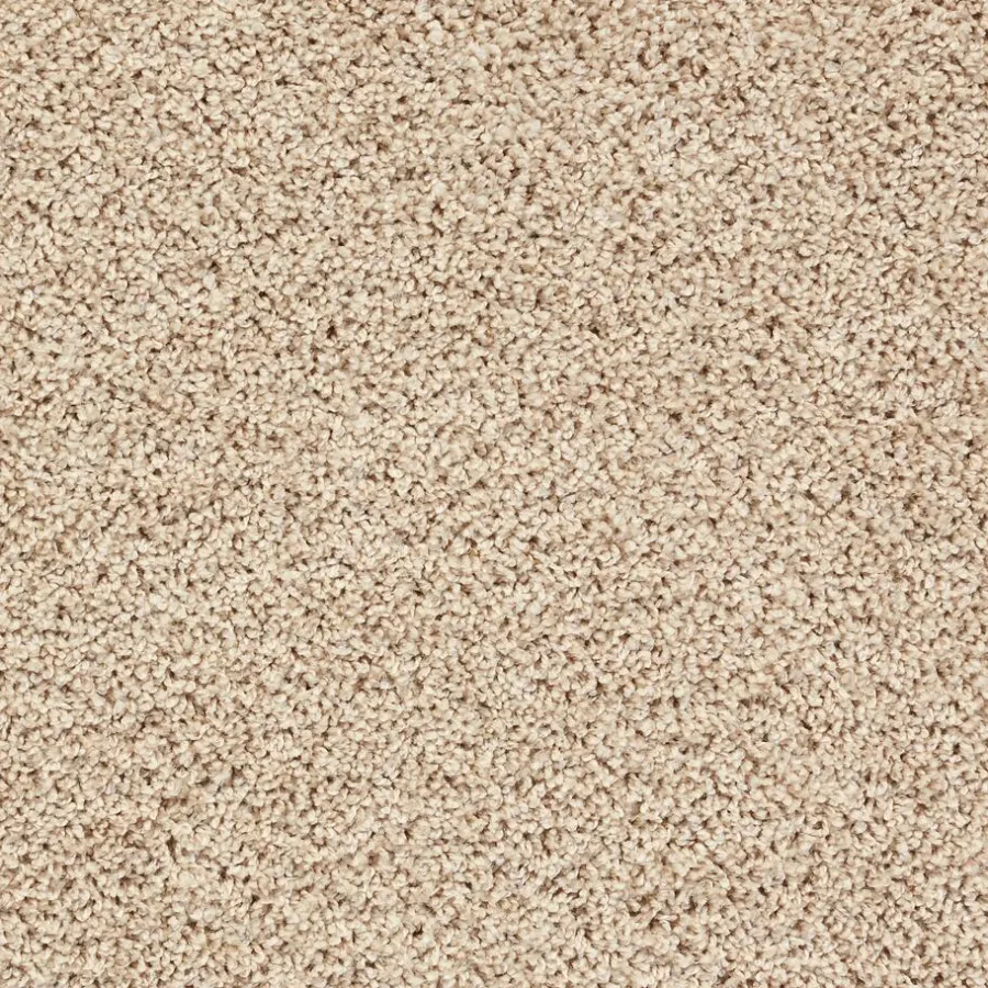 Staal Tapijt Anamosa^ Clearance