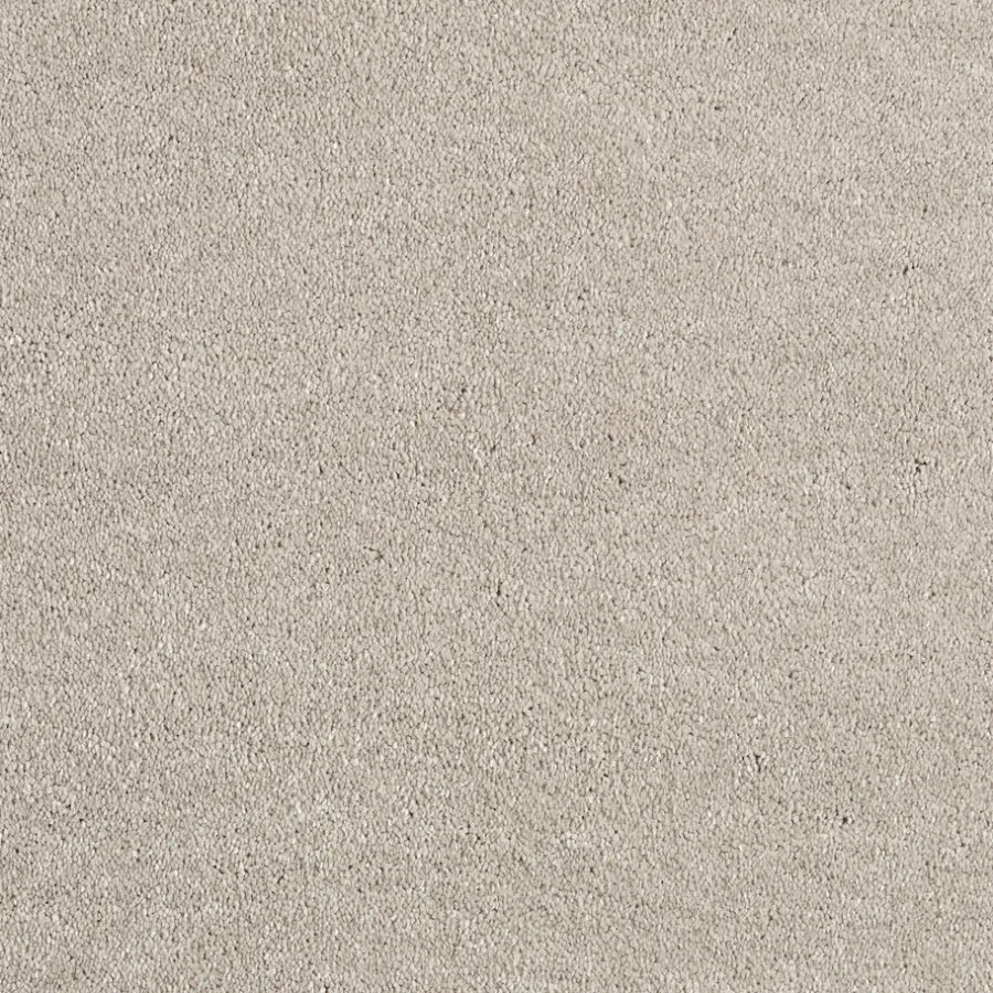 Staal Tapijt Canora^ Hot