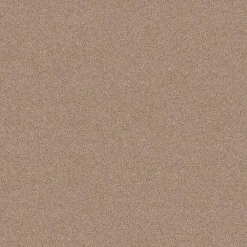 Staal Tapijt Cornell^ Hot