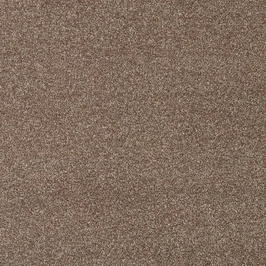 Staal Tapijt Coventry^ Sale