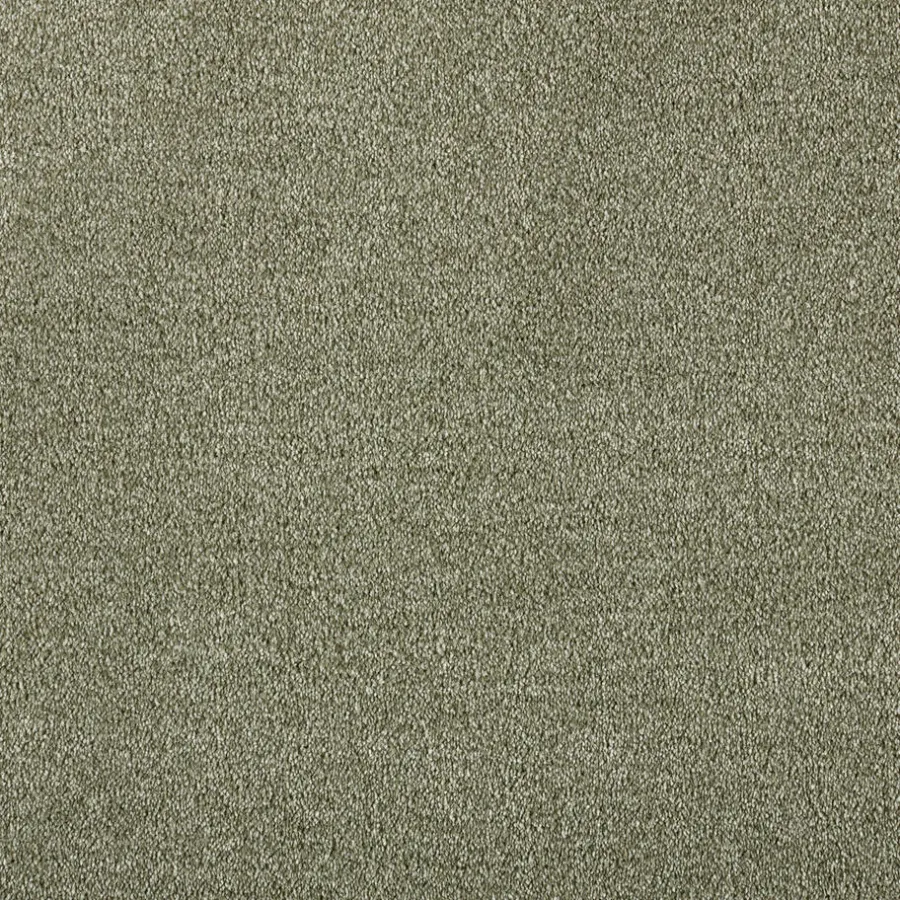 Staal Tapijt Newlin^ Hot